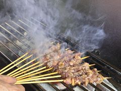 -山野的朋友露营炭火烤肉