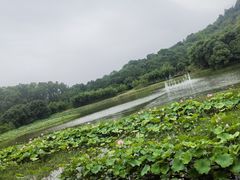 -福建鲤鱼洲酒店