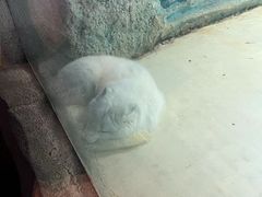 -华夏文旅西安度假区