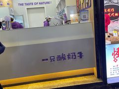 -一只酸奶牛(八一路店)