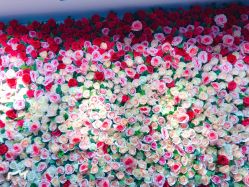 -恐龙·美甲美睫