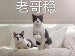 -PONYO波妞日式美甲美睫