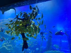 -海合安青岛极地海洋公园