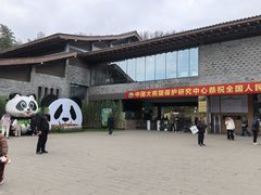 -都江堰中华大熊猫苑