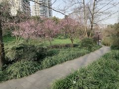 -重庆彩云湖湿地公园
