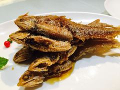 -上海会馆(香港名都店)