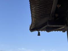 -宜兴龙背山森林公园