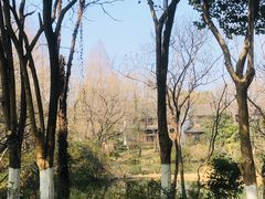 -西溪国家湿地公园