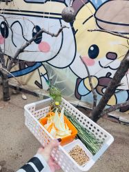 -小象动悟公园(龙湖亦庄天街店)