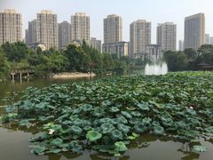 -龙头寺公园