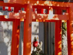 -上野公园花园稻荷神社(忍岡稲荷神社)
