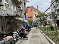 -水丰路鸡蛋饼
