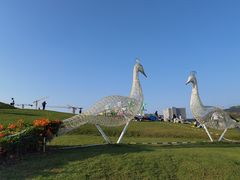 -光明小镇欢乐田园