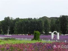 -紫海香堤香草艺术庄园