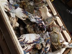 -芭提雅Amporn Seafood自助餐厅