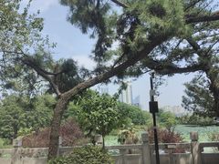 -古琴台