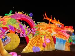 -武汉园博园(武汉自然博物馆)