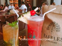 -Long Bar(莱佛士酒店)