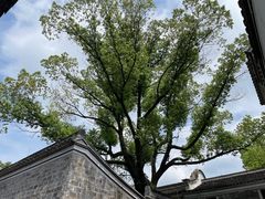 -天一阁博物院