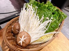 -同仁四季椰子鸡(宝安壹方城店)