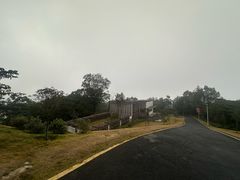 -黄埔油麻山森林公园