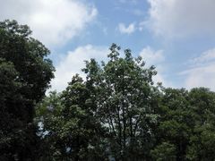 -火炉山森林公园