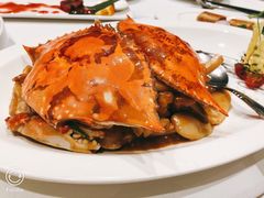 -南麓·浙里(外滩店)