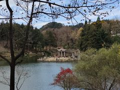 -四明山国家森林公园