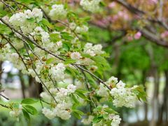 -白塘生态植物园