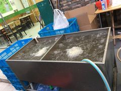 -段氏龙虾·烧烤·烤鱼(东书房路店)