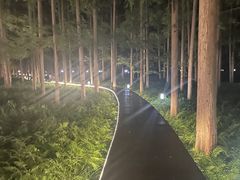 -上海怡沁园度假酒店