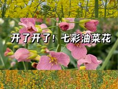 -中国天府农业博览园