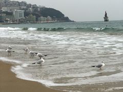 -海云台海滩