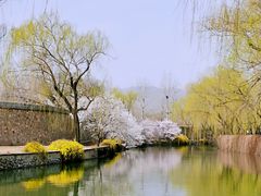 -颐和园