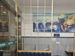 -伟伟宠物医院·瑞派猫友好医院·猫科(光谷店)