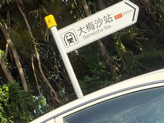 -大梅沙海滨公园