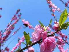 -船政文化景区-罗星塔公园