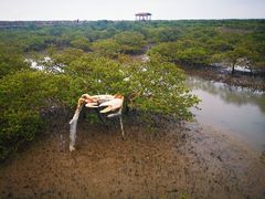 -北海金海湾红树林生态旅游区