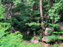 -崂山巨峰游览区
