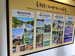 -济州森林小火车生态公园