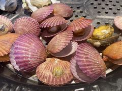 -巧克力渔家.小船海鲜胶东菜(万平口店)