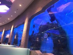 -瑞德姆美人鱼海底演艺主题餐厅(亚龙湾店)