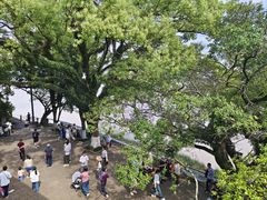 -江心屿景区