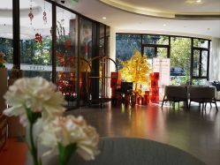 -宝生月子中心(独栋园林·福田店)