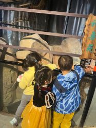 -酷嗒动物文化乐园(cutezoo西溪乐天城店)