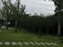 -活水公园