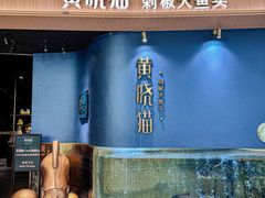 -黄晓猫剁椒大鱼头(海岸城店)