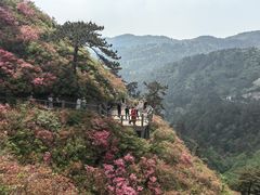 -木兰云雾山