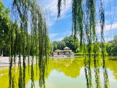 -黄村公园