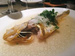 清蒸野生大黄鱼-苏浙总会(国金中心店)